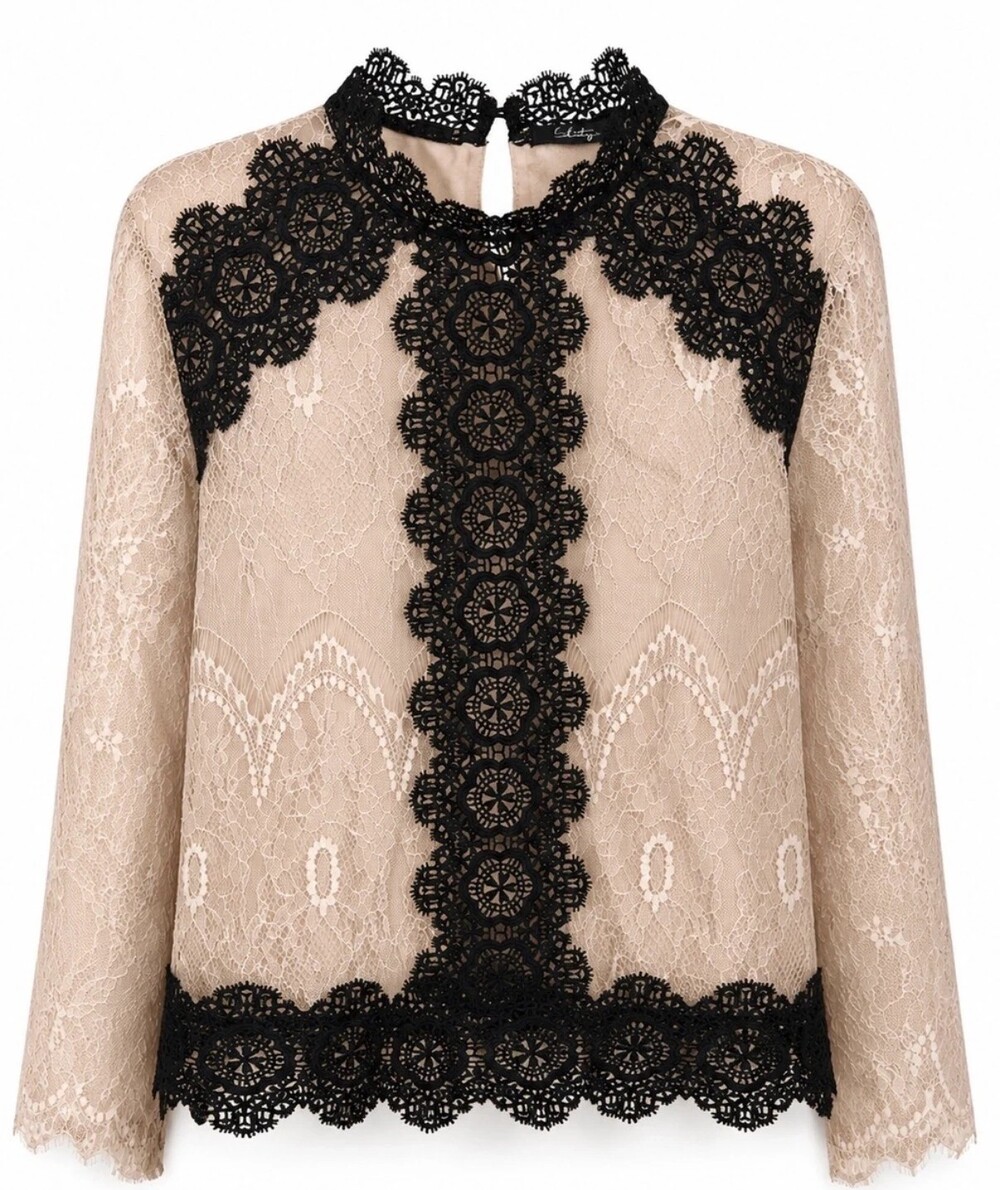 Buckle Boutique Black Nude Lace Blouse NWT Medium
